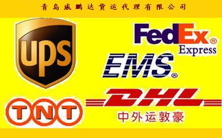 青島國際快遞代理價格 青島國際快遞代理型號規格